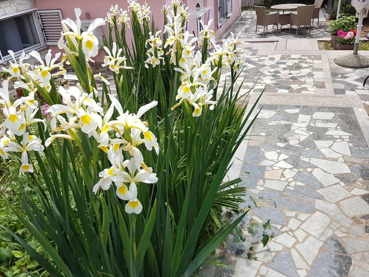 Apartments Ella Ровинь Экстерьер фото