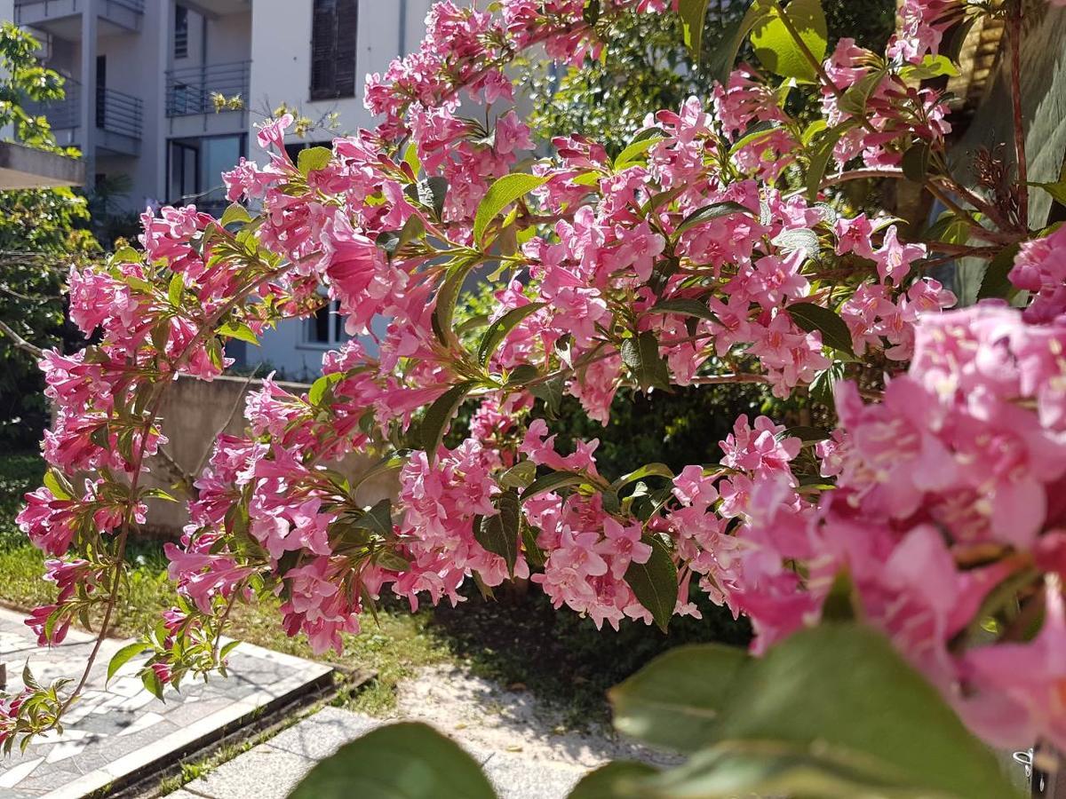 Apartments Ella Ровинь Экстерьер фото